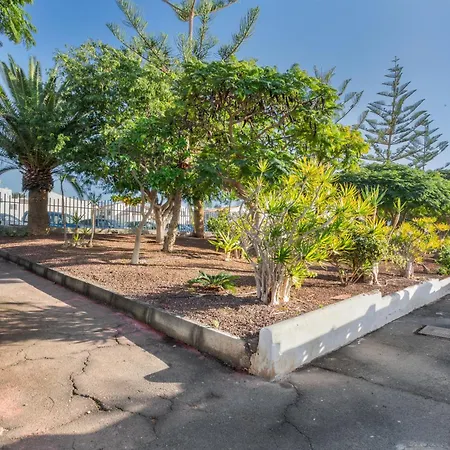 Apartman Calma Mar Arona